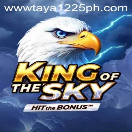 KingOfTheSky: Unveiling the World of Strategic Aerial Combat